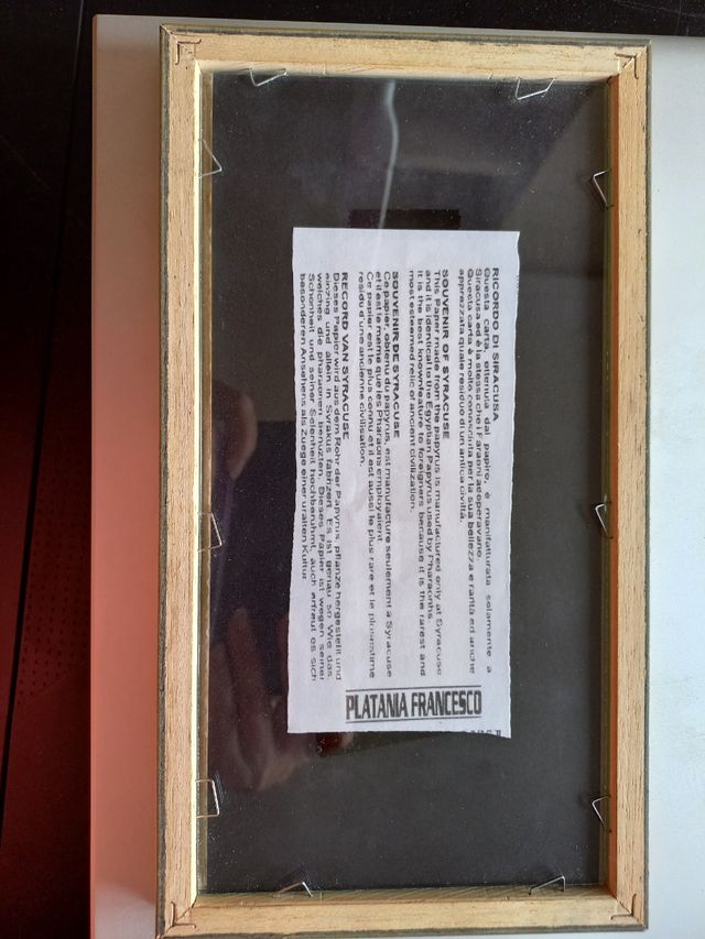 Cuadro Papyrus Siracusa