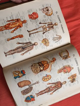 ANTIGUA ENCICLOPEDIA ESCOLAR 3° GRADO AÑO 1960