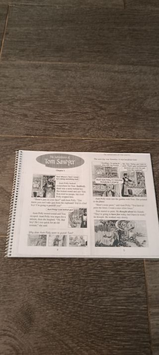 The aventures of tom sawyer