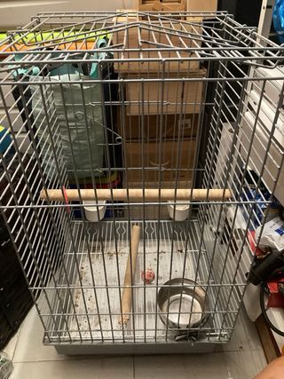 Jaula pajaros grande - Gris