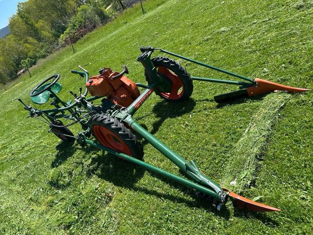 Segadora Agria Bertolini