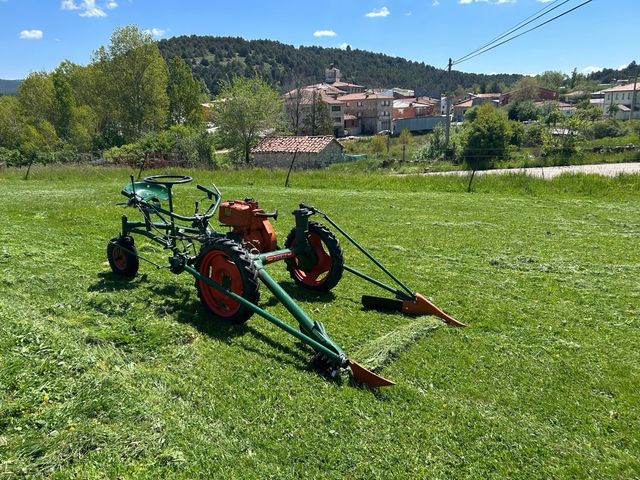 Segadora Agria Bertolini