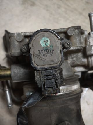 Mariposa Toyota Celica