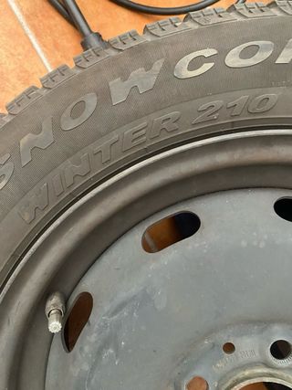 Neumático invierno Snowcontrol 210
175/65 R 15