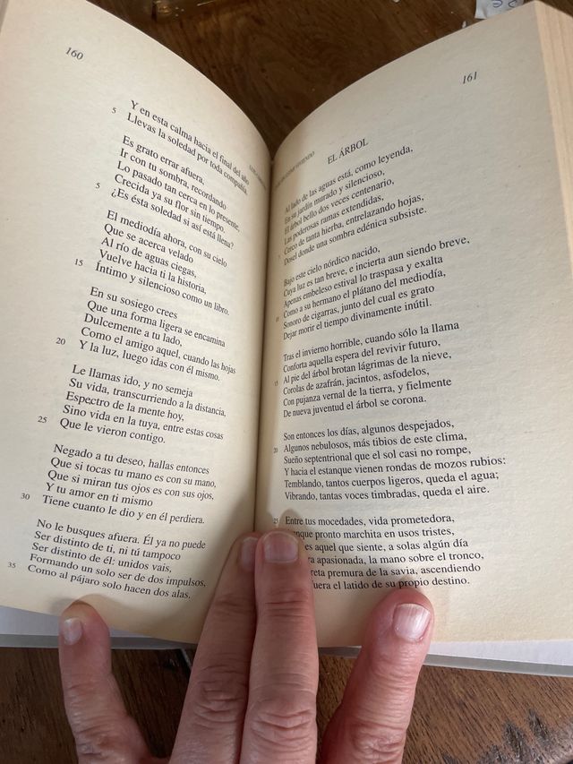 Antologia poetica Luis Cernuda