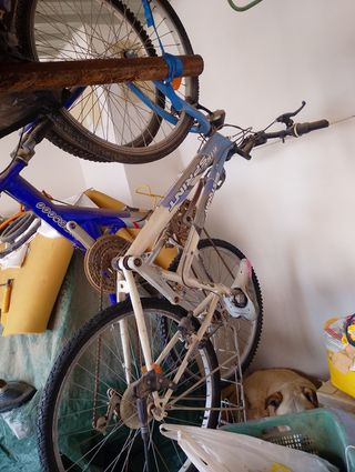Bicicleta montaña adulto