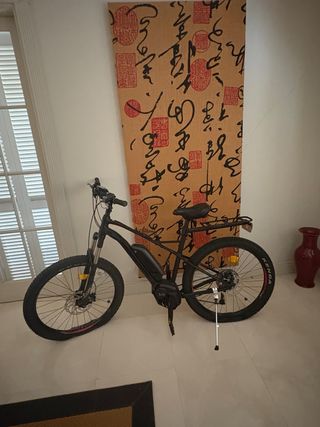 Bicicleta eléctrica montaña