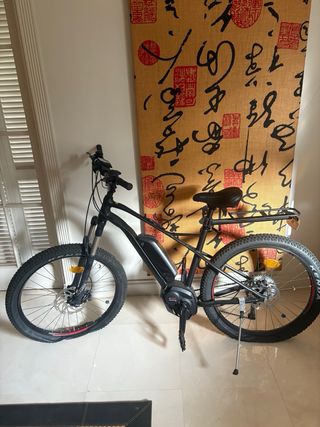 Bicicleta eléctrica montaña
