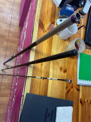 Caña Daiwa Surfcasting 4.20m