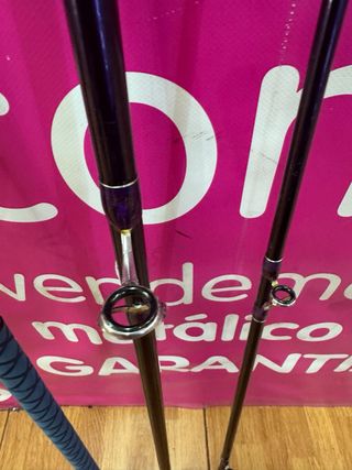 Caña Daiwa Surfcasting 4.20m