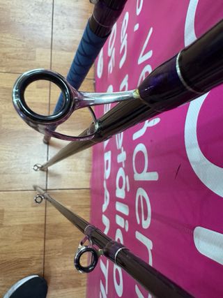 Caña Daiwa Surfcasting 4.20m