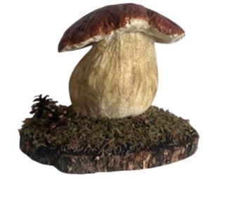 Figura Boletus Pinicola - Figura 1,2kg