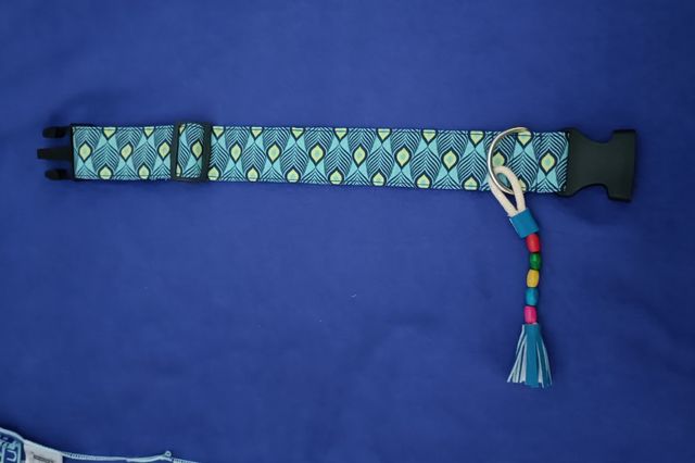 Collar perro talla M - Verde turquesa