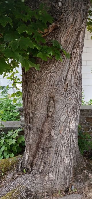 Leña para chimenea