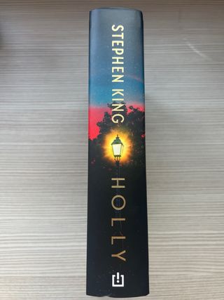 Holly de Stephen King