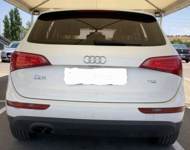 Audi Q5 2010