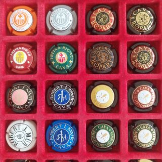 Lote 16 chapas Cava