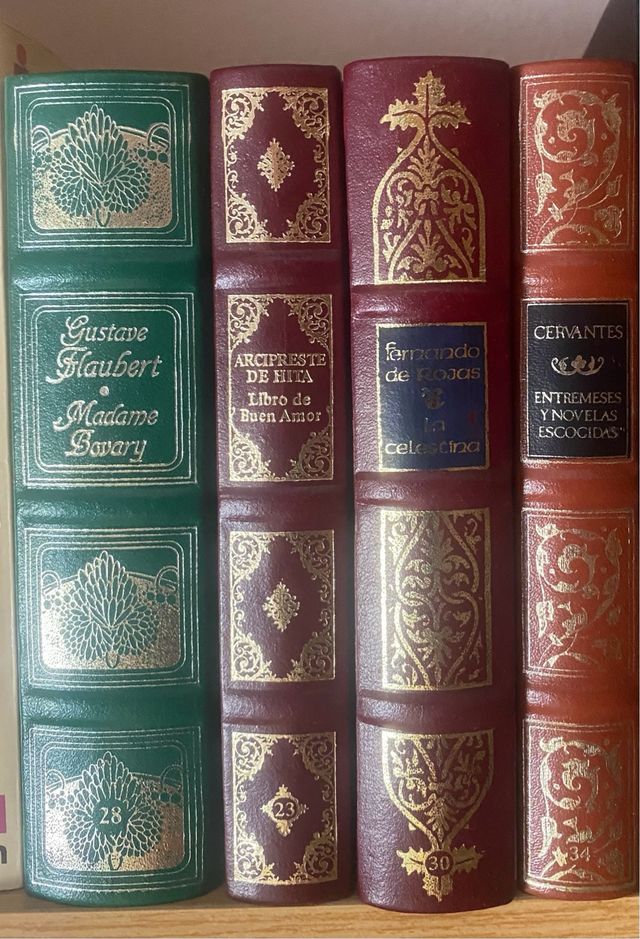 Madame Bovary y otros. Ver foto. 