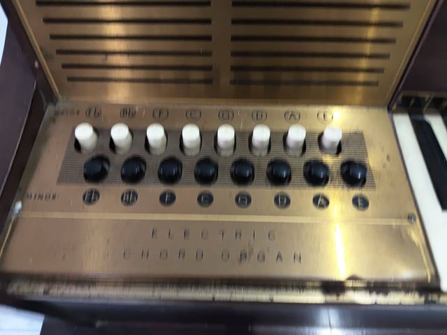 Órgano Magnus antiguo