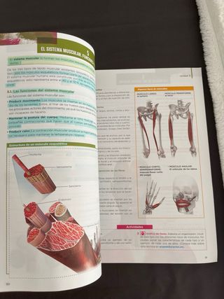 Anatomía Aplicada 1 bachillerato