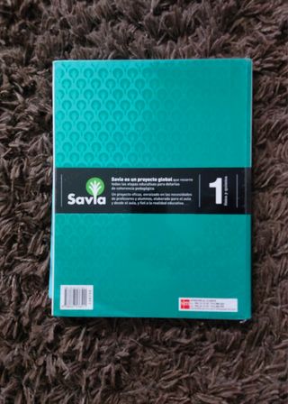 Física y química. 1 Bachillerato. Savia