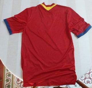 Camiseta España 2013