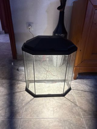 Acuario hexagonal principiante