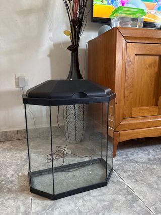 Acuario hexagonal principiante