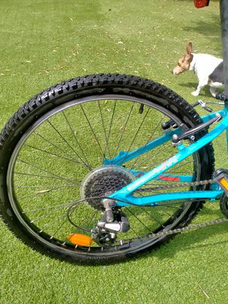 Bicicleta Orbea 24 pulgadas