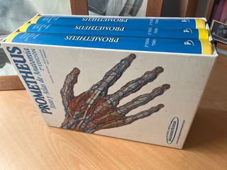 PAC-Prometheus y Ribes: Atlas de Anatomía e Ing...