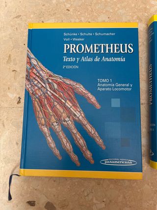 PAC-Prometheus y Ribes: Atlas de Anatomía e Ing...