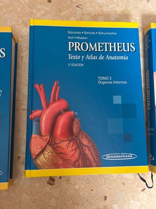 PAC-Prometheus y Ribes: Atlas de Anatomía e Ing...