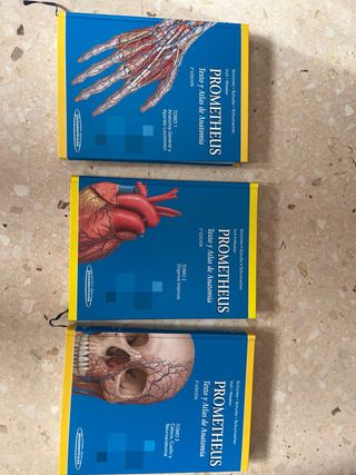 PAC-Prometheus y Ribes: Atlas de Anatomía e Ing...