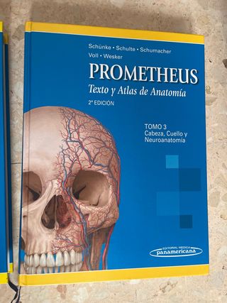 PAC-Prometheus y Ribes: Atlas de Anatomía e Ing...