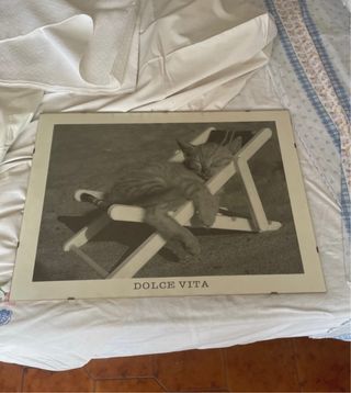 Stampa vintage Dolce Vita - Gatto