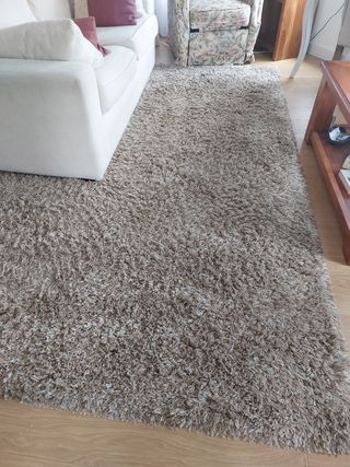 Alfombra salón beige 290x200cm