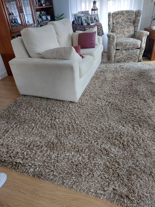 Alfombra salón beige 290x200cm