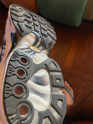 Nike Air Max Plus TN Dior edicion limitada