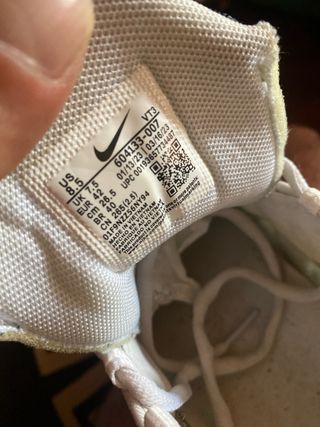 Nike Air Max Plus TN Dior edicion limitada