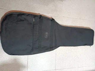 Guitarra eléctrica Brad Gillis