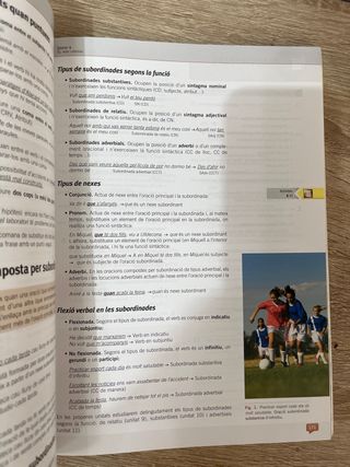 LLENGUA I LITERATURA 2