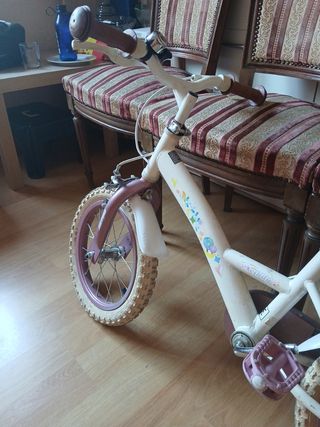 Bicicleta niña 