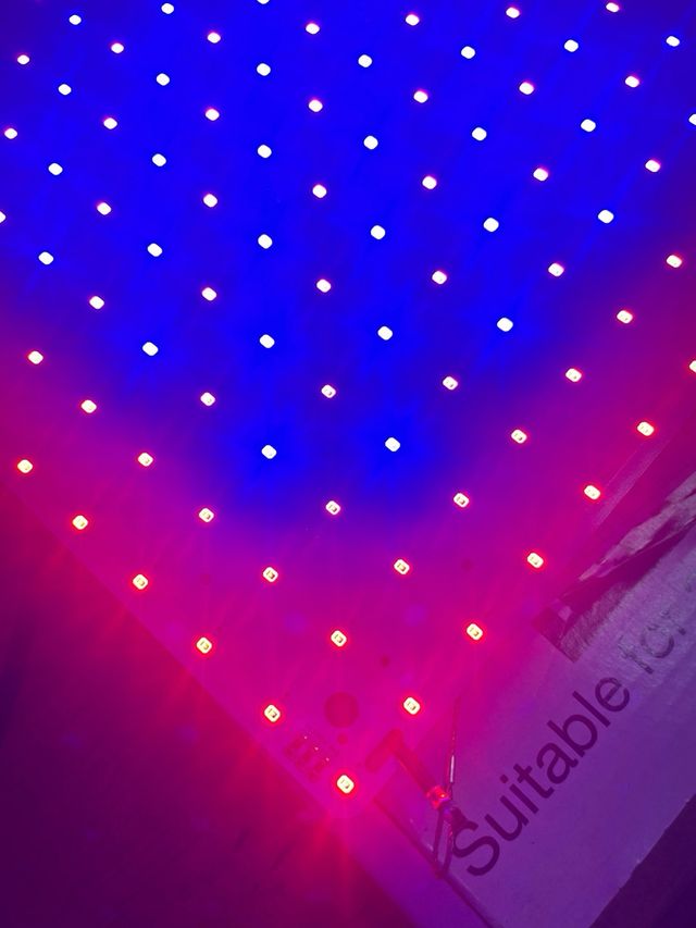 Pack 2 Focos LED Cultivo