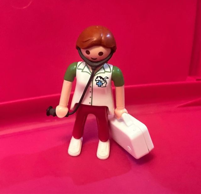 Playmobil Veterinaria