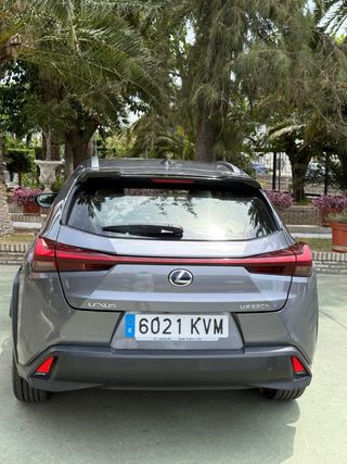 Lexus UX 2019