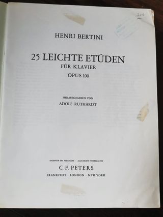 Bertini: Lote de 24 y 25 Estudios