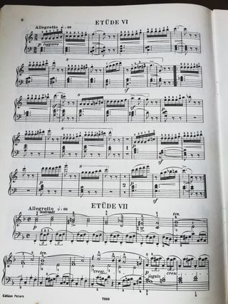 Bertini: Lote de 24 y 25 Estudios