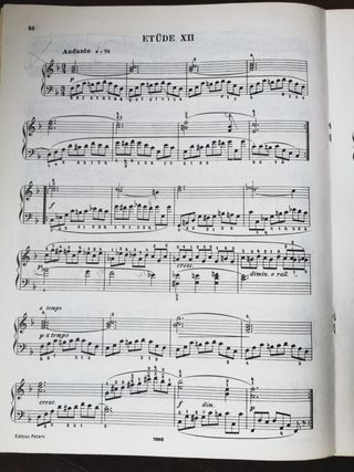 Bertini: Lote de 24 y 25 Estudios