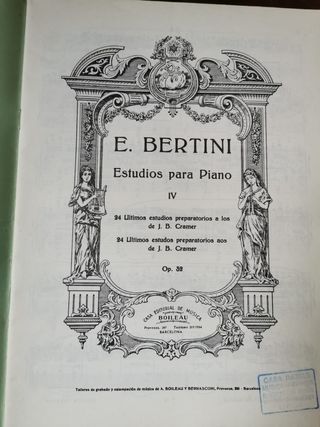 Bertini: Lote de 24 y 25 Estudios