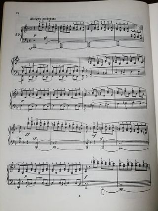 Bertini: Lote de 24 y 25 Estudios